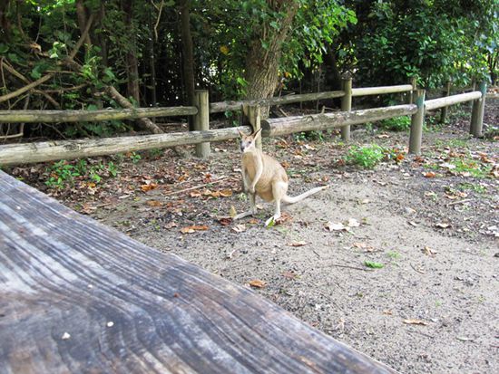 Frühstücksbesuch