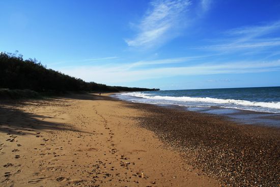 Mon Repos Beach - Geburtsstätte der Schildkröten