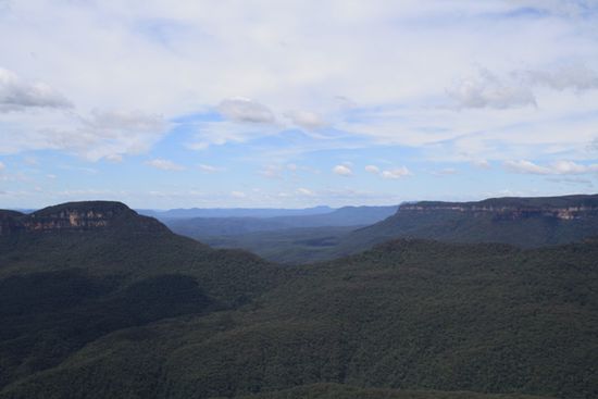 spätestens hier sieht man, warum es "Blue" Mountains heißt