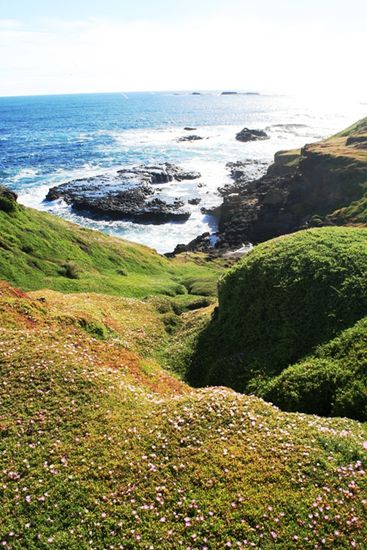 Phillip Islands Westspitze vor den Seal Rocks