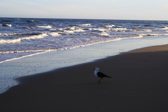 Abendstimmung in Anglesea