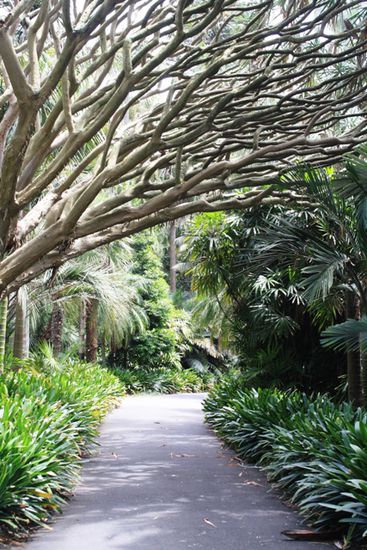 Botanischer Garten Sydney