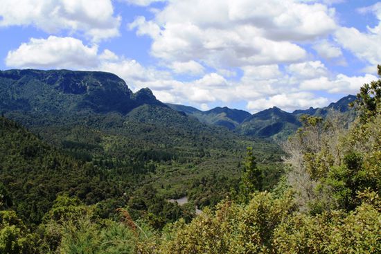 Kauaeranga Valley