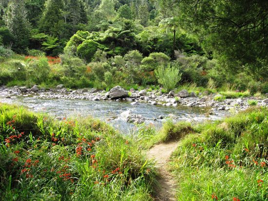 am Waitawheta River