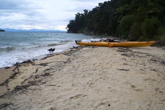Kurzer Paddelstopp in der Spitwell Bay