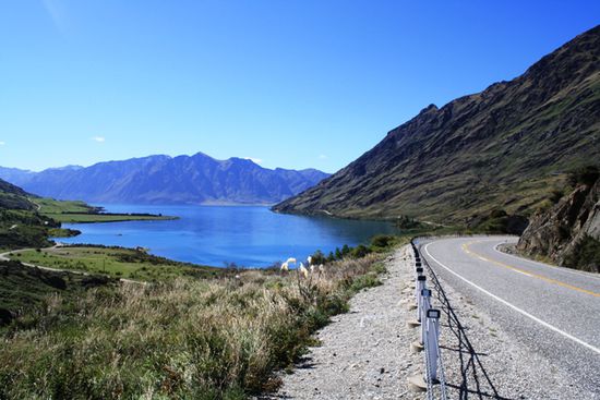 Unser Weg entlang des Lake Hawea