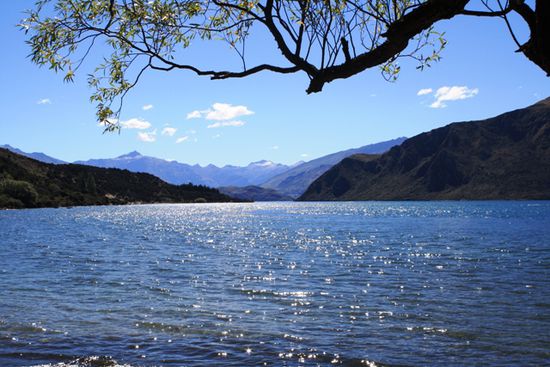 und wieder zurück am Lake Wanaka...