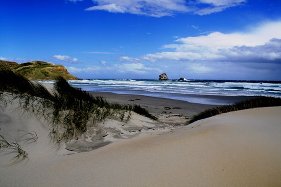 die Sandfly Bay auf der Otago Peninsula - ohne Sandflies und leider auch ohne Seelöwen
