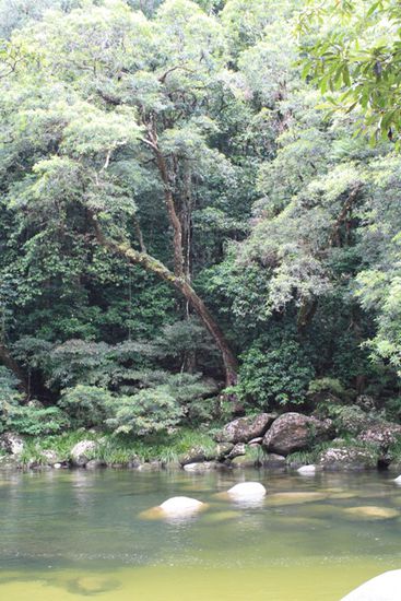 Mossman Gorge
