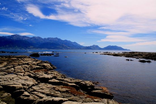 noch ein letzter Blick auf Kaikoura...