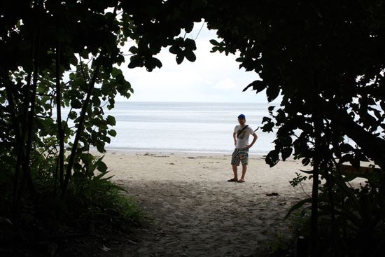 Cape Tribulation Beach