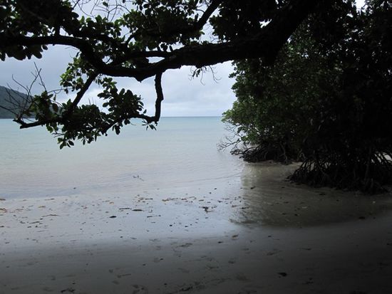 Cape Trib Beach