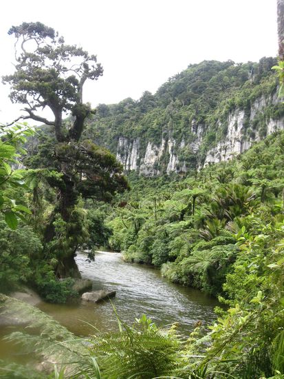Paparoa Nationalpark