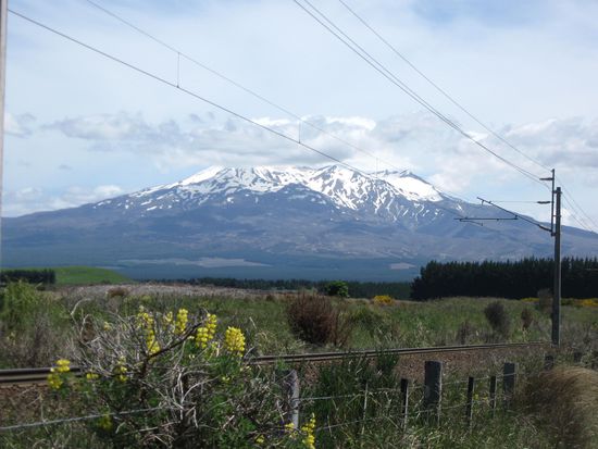Mt. Ruhapehu, der höchste Vulkan im Tongariro NP