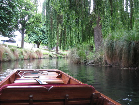 Bootchenfahren in Christchuch