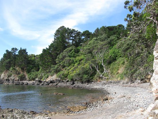 Küste im Norden von Coromandel