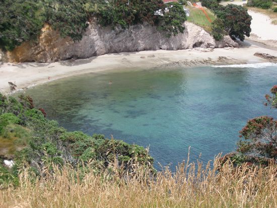 Blick auf eine Bucht bei Hahei, Coromandel