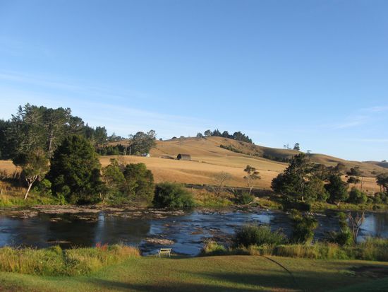 Blick aus unserem Zimmer in den "Garten"