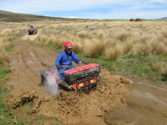 Quad fahren um Te Anau