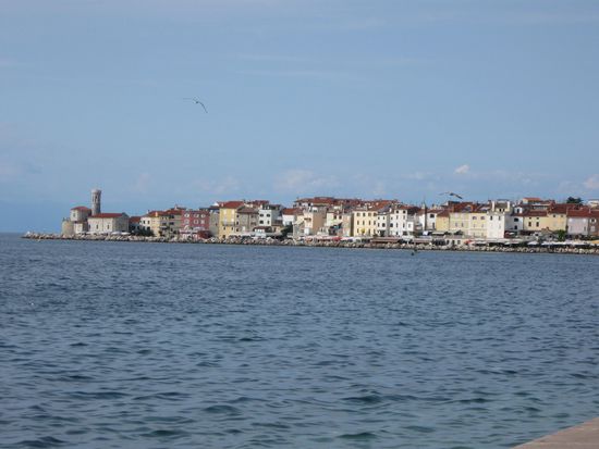 Blick auf Piran
