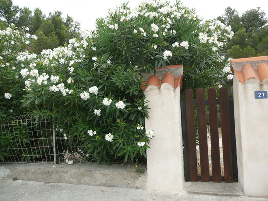 Der weg nach oben, anstrengend aber immer wieder schön 