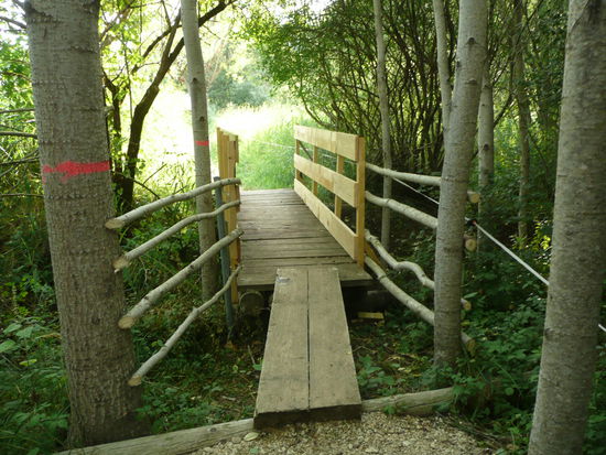 Wackelige Angelegenheit, wie gut das der Bach ausgetrocknet war.