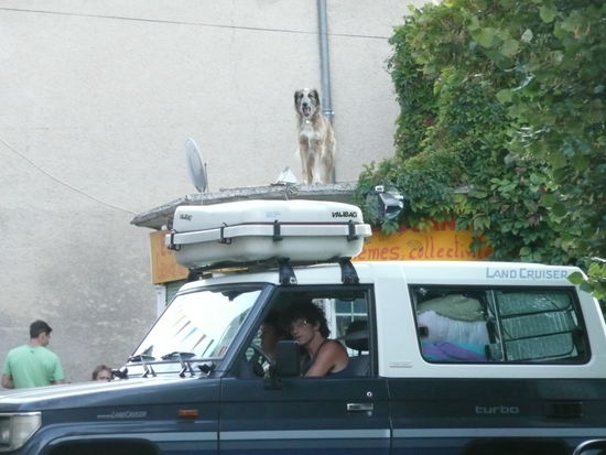 Anscheinend waren nicht nur die Pferde hier merkwürdig...