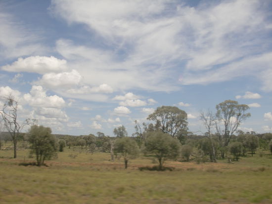 never never sagen die australier dazu.