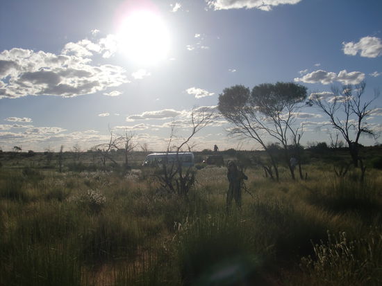 Danach Feuerholz suchen fuers Abendessen.