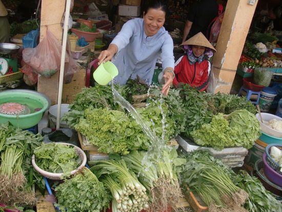 so bleibt alles frisch