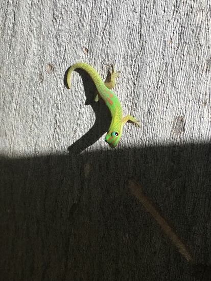 Sie schauen mich aus jeder Ecke an