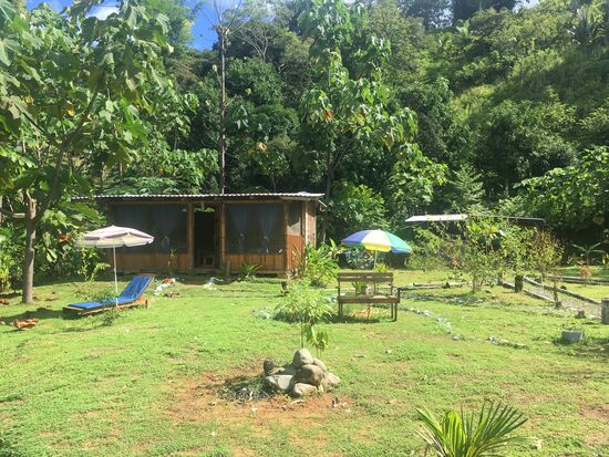 Meine Hütte im Dschungel