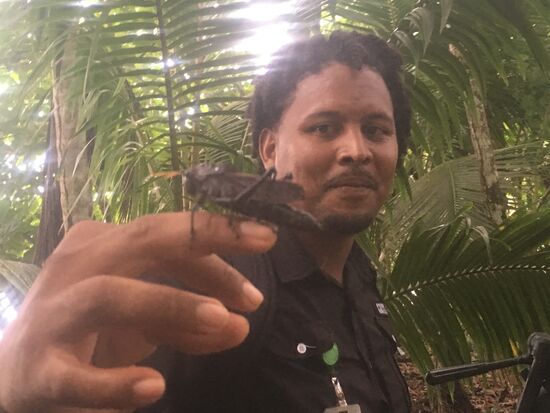 Oh (Heu)Schreck! Im Nacional Parque Cahuita