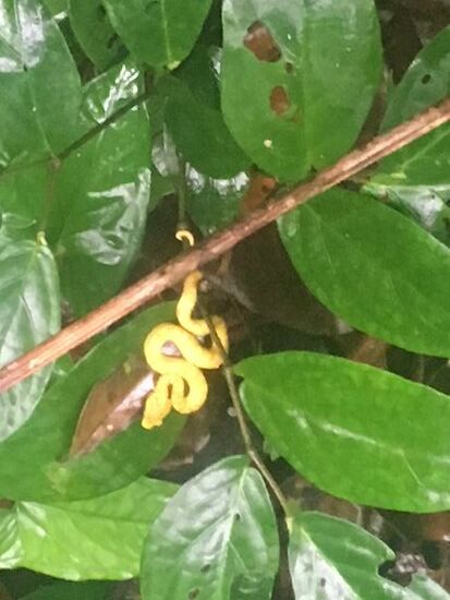 Je kleiner desto gemeiner