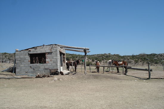 Nach dem Ausritt, gabs ein gscheites Barbecue (nennt sich hier Parilla) mit Bier, Wein, Sangria und argentinischem Karten-Trink-Spiel.