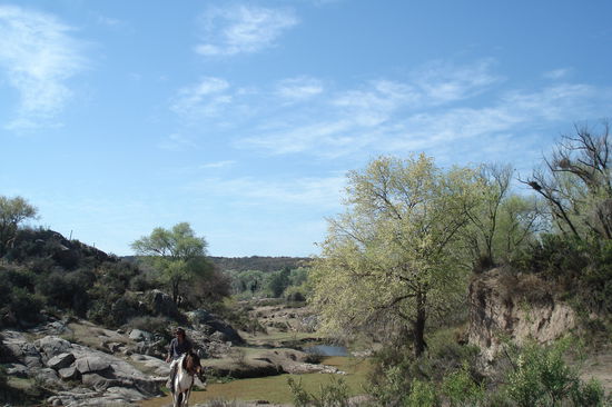 Die Region "La Cumbre" ist wirklich wunderschoen, vorbei an Fluesschen, jede Menge Rindern und Schafen...