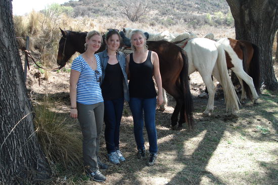Meine beiden Reitkumpaninnen aus den USA und unsere braven Pferdchen. Meines hiess uebrigens "Cafe con leche" also "Milchkaffee"