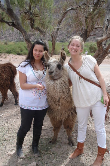 Meine beiden neuen argentinischen Freundinnen auf dem Ausflug nach Cafayate und ein putziges Lama 