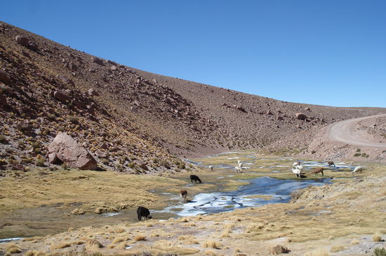 Landschaft um San Pedro de Atacama