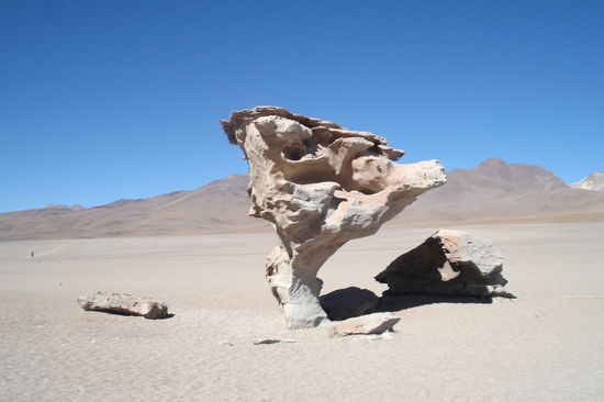 Arbol de Piedra (Baum aus Stein)