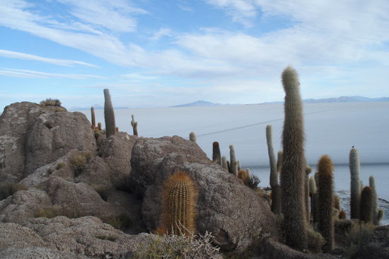 Isla de Pescadores. "Die Insel der Fischer" befindet sich mitten im Salzsee.