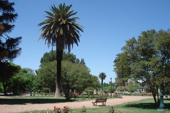 Unterwegs im Park...