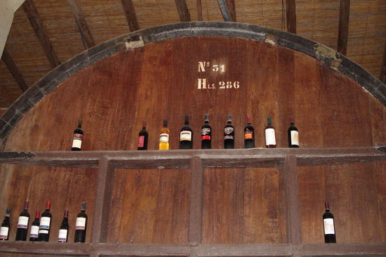 Ausflug in eines der vielen Weingueter Mendozas.