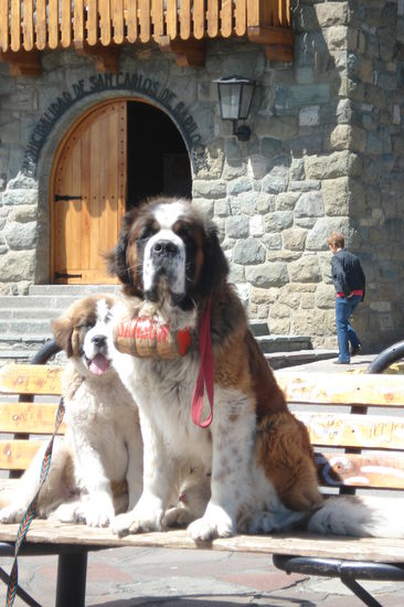 Bariloche hat ein wunderschoenes Zentrum. Von armen Leuten keine Spur. Im Gegensatz zu anderen Staedten gibt es hier keine Bettler oder spindelduerre Kinder.