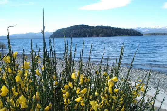 Bis auf einen Tag mit etwas staerkeren Wind, hatte ich Kaiserwetter. Zum Baden ist der See aber zu kalt, momentan ist hier ja noch Fruehling.