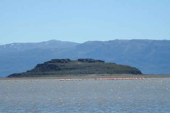 In den Lagunen dort findet man ganz viele Flamingos.