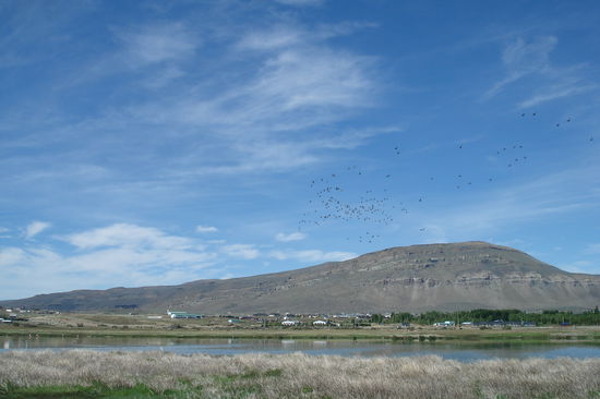 Alle Voegel fliegen hoch...