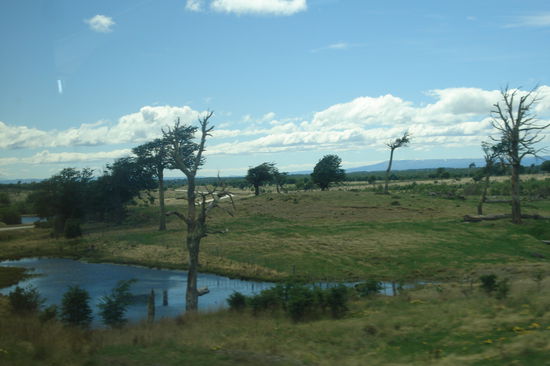 On the Road. Foto aus dem Bus von Punta Arenas nach Puerto Natales.
In Patagonien gibt es, wie man auf dem Foto vielleicht erkennen kann, ganz viel Wind!!!