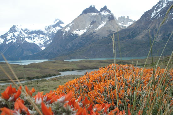 Der Nationalpark im Fruehling....