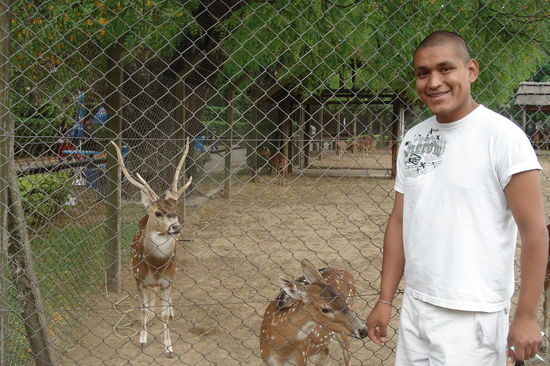 Pablo mit zwei Bambis.